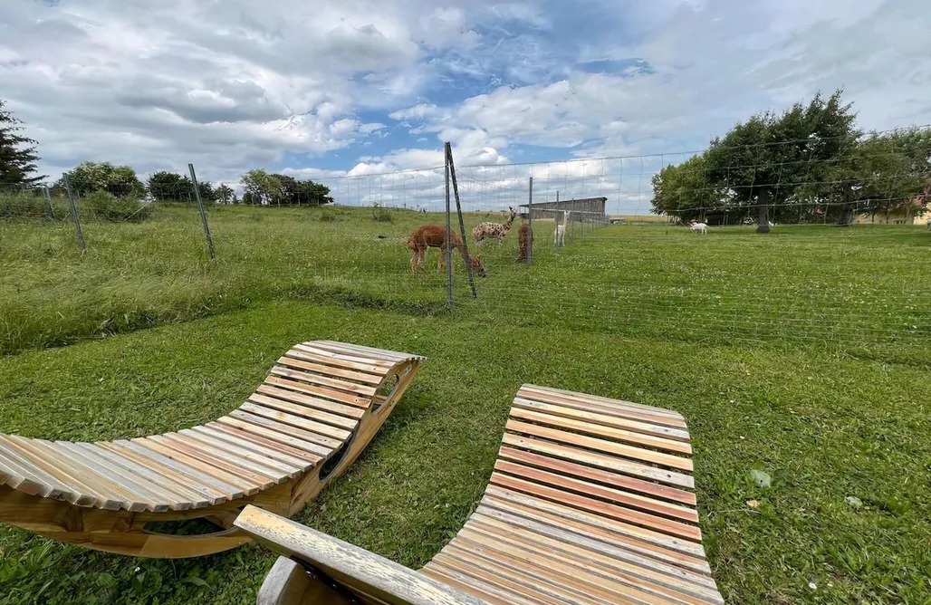 Unterkunft AlohaCamp Bauernhof Glamping mit Alpakas und Ziegen 5