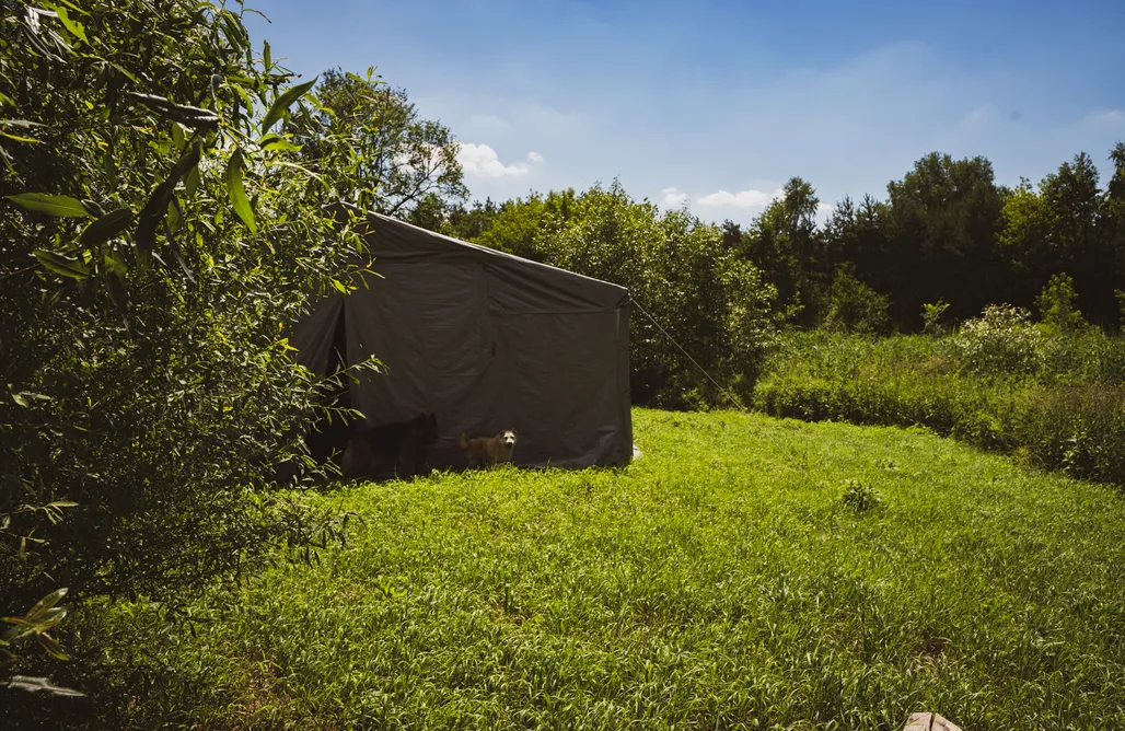 AlohaCamp Pole kempingowe 2