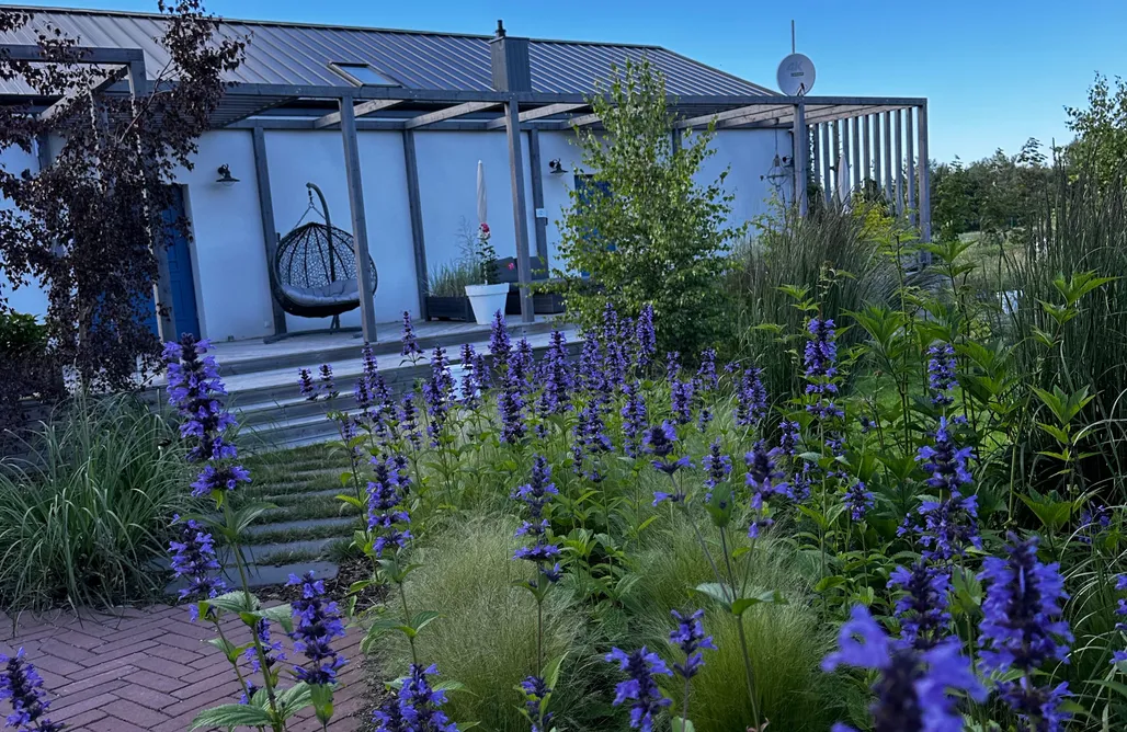 Domki Władysławowo 🌊 Botanica 3