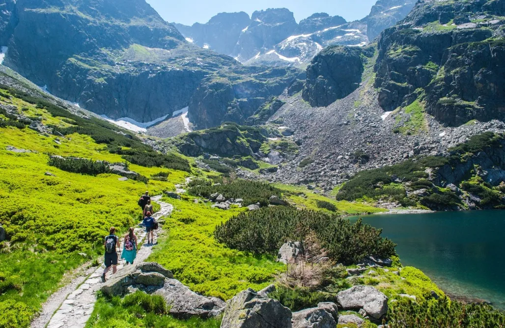 AlohaCamp accommodation Apartament z prywatną sauną 4