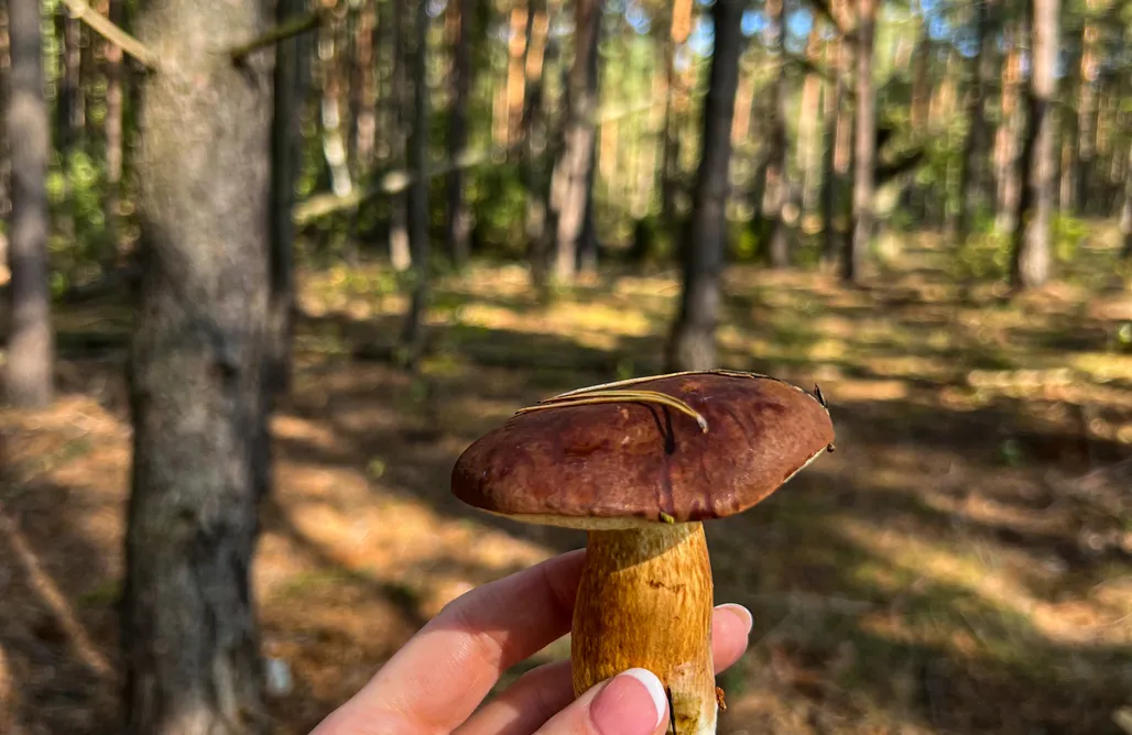 Adamów noclegi Przystanek Wieś 1