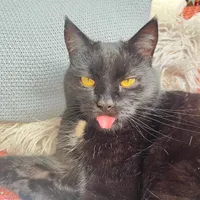 R. propietario Urlaub im blauen Bauwagen