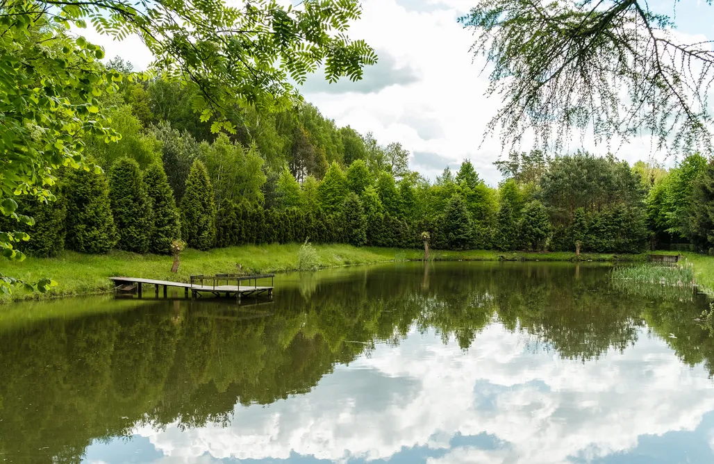 noclegi AlohaCamp Baciki Średnie 73 - Domek nad Stawami  5