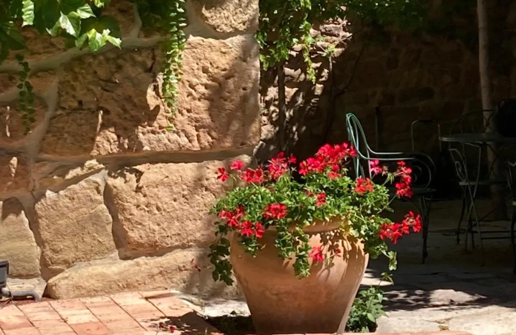 noclegi AlohaCamp La Casa del Bosque 1