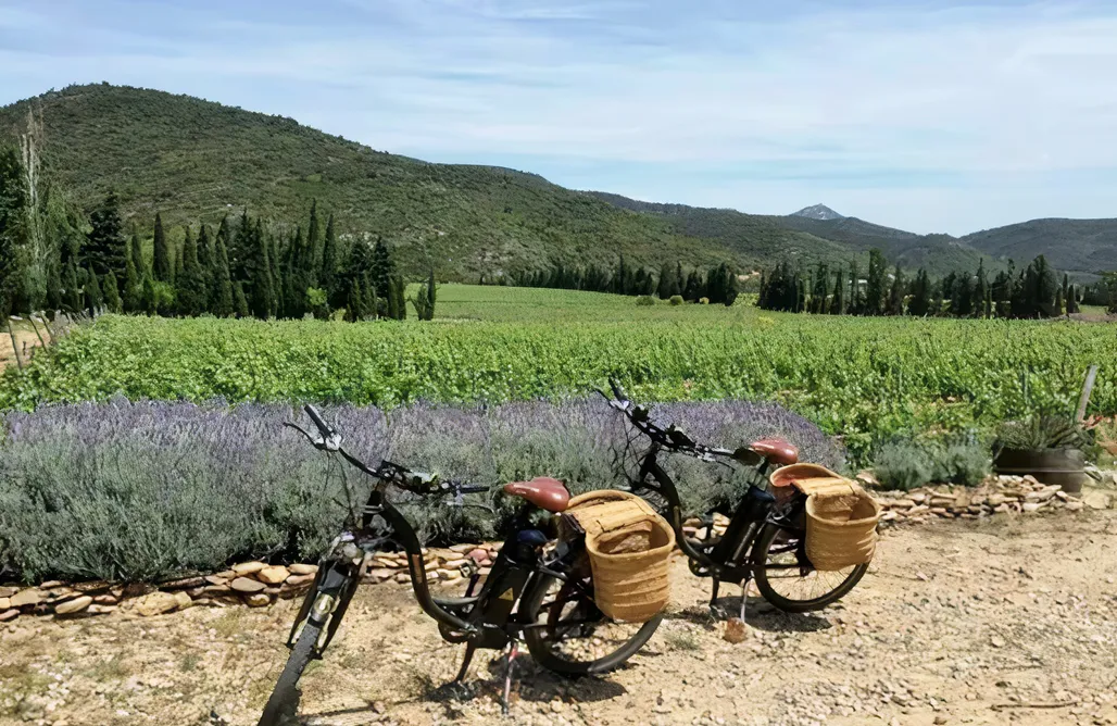 AlohaCamp Habitación Granito 1