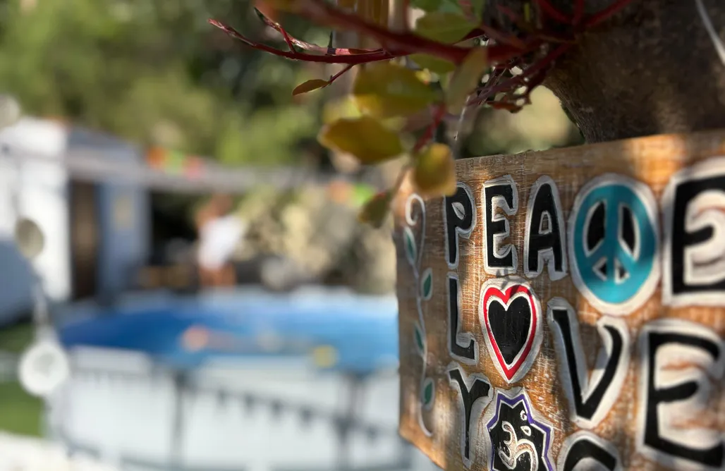 Alojamiento en Arcos de la Frontera Bosque Raíces 3