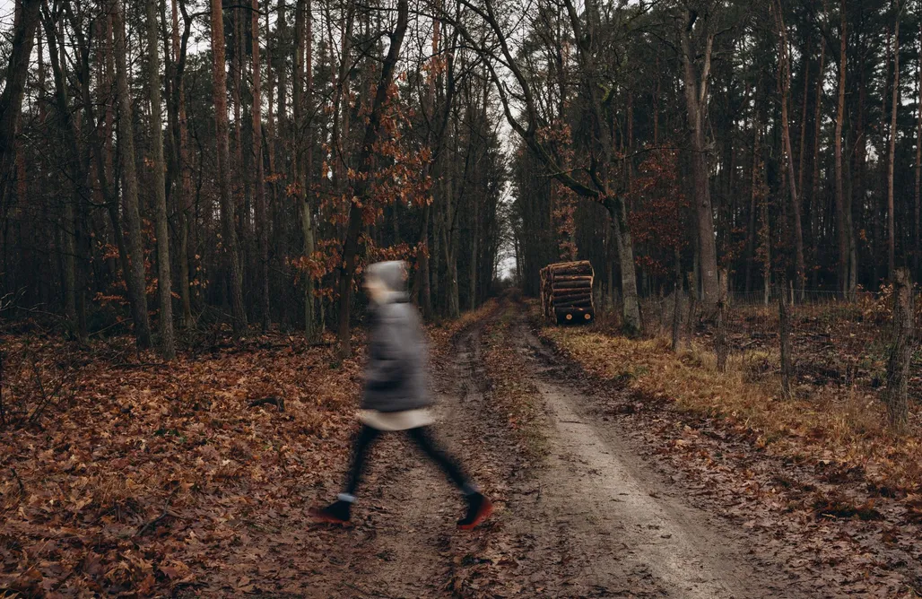 alojamientos AlohaCamp Ginkgo w lesie 1