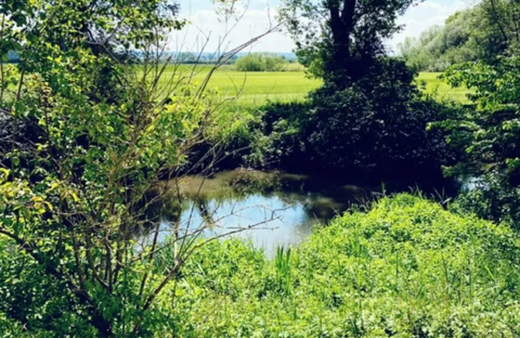 Unterkunft AlohaCamp Bauernhaus am Limes 4