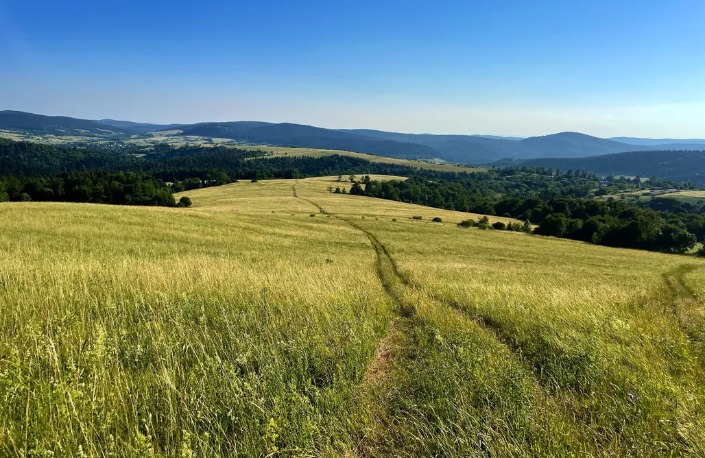 Unterkunft AlohaCamp Chatka Mokoszka 4