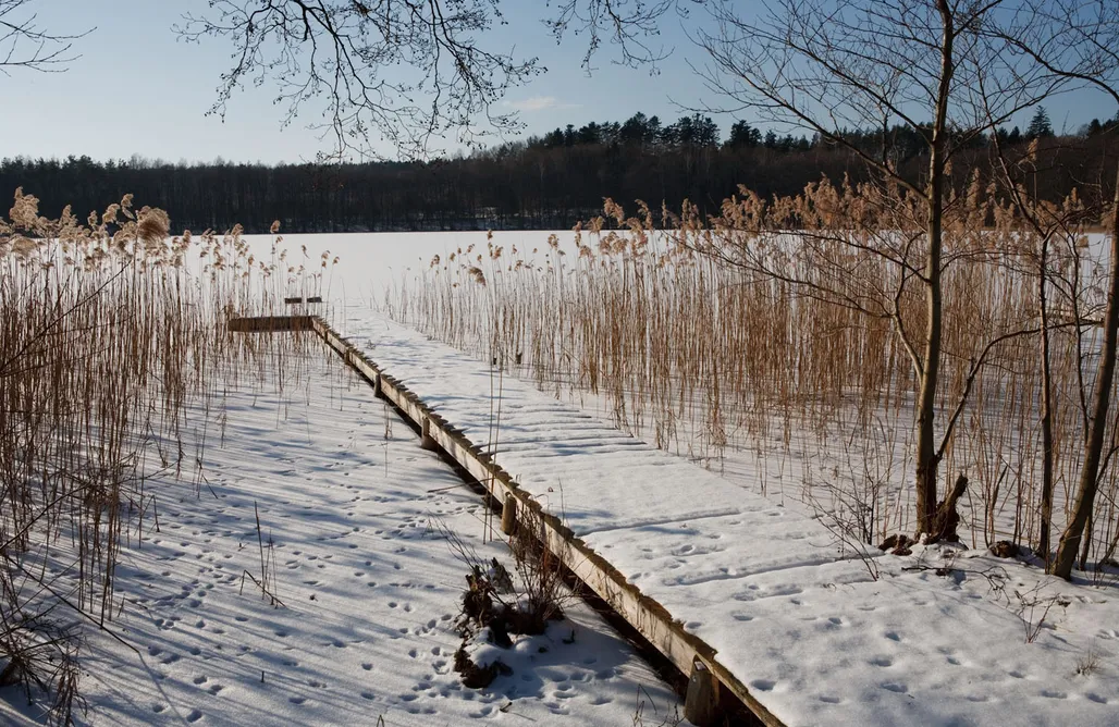 AlohaCamp Dom Żółty 1