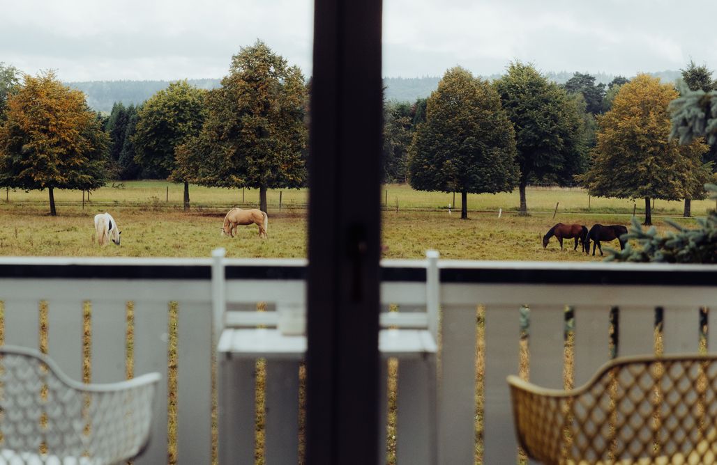 Unterkunft AlohaCamp Eifel17+4 - helle Ferienwohnung mit Vulkanblick 5