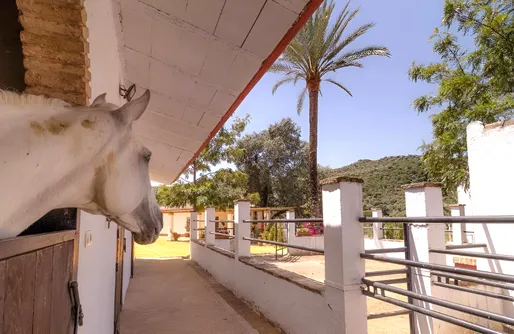 Imagen de Casa Rural Los Menestrales