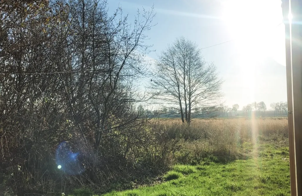 AlohaCamp Hoya Glamping 2