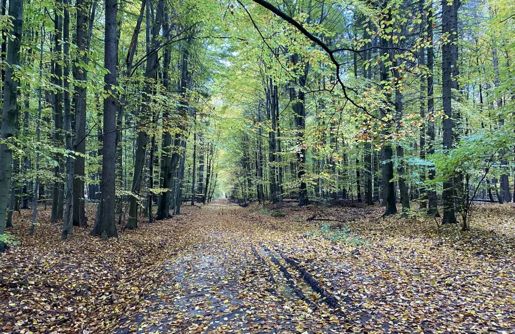 Agroturystyka Jura Krakowsko-Częstochowska Skryta Chata Ojców 1