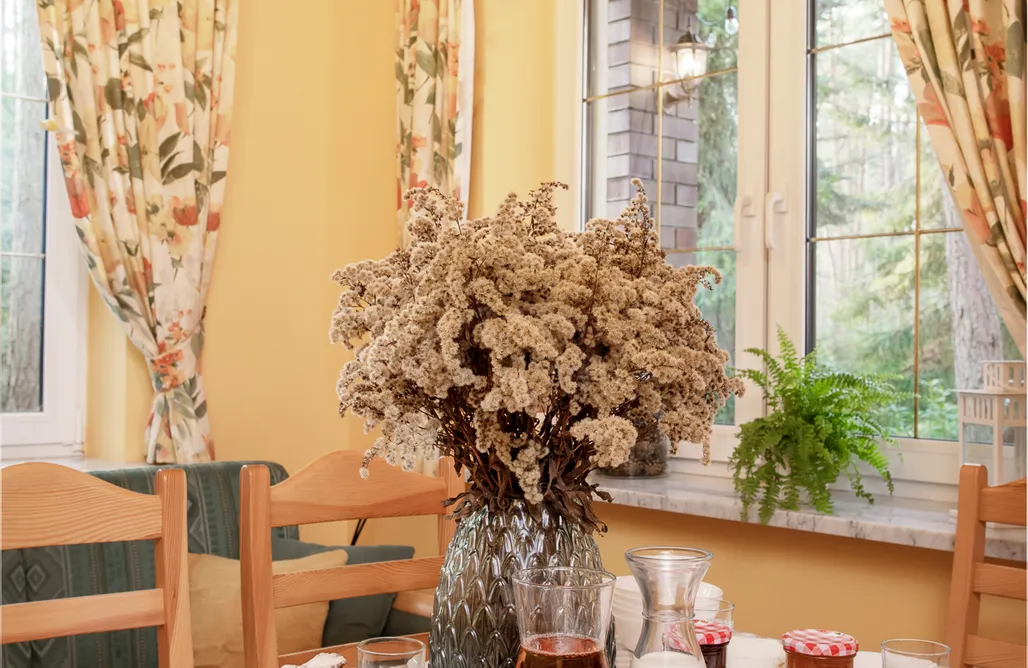 Piskornia noclegi Masuria Warsaw Family 1