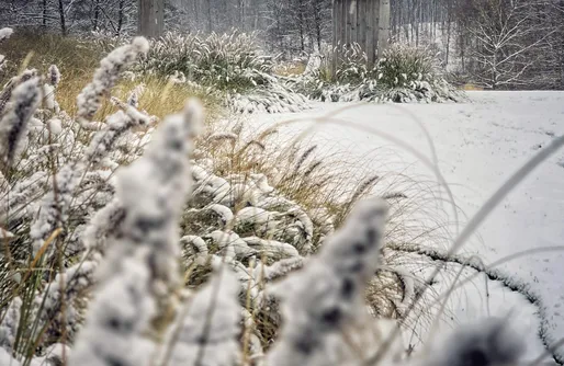 Zdjęcie obiektu Rezerwat