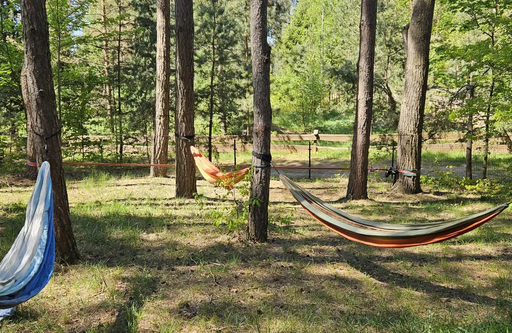 Unterkunft AlohaCamp Dom nad Łąkami  5