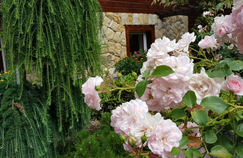 Karłów Noclegi Stara Stajnia - Azyl tylko dla Dorosłych 1