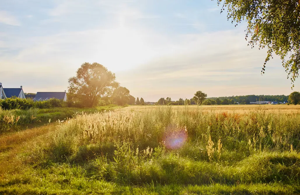 Ferienhaus Mein rotes Haus - 3 Bienchen 1
