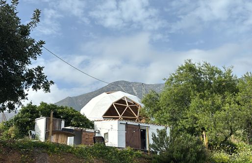 Imagen de Bosque Raíces