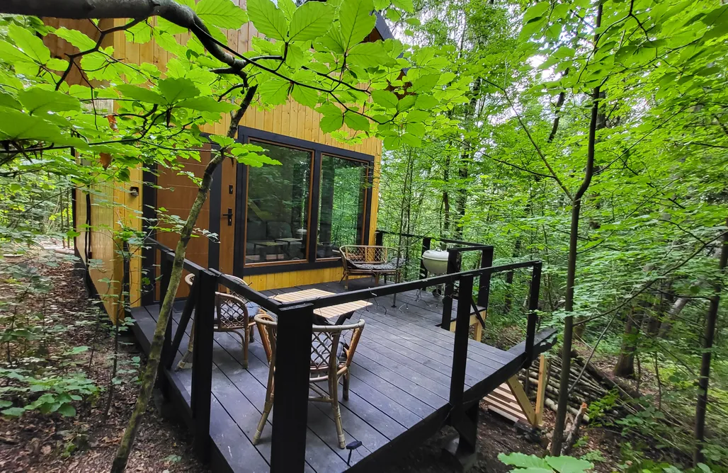 Domek w Górach na Odludziu Wiewiórkowo Premium Hideaway | Dom w dzikim lesie, Gorąca Balia & Kino 3