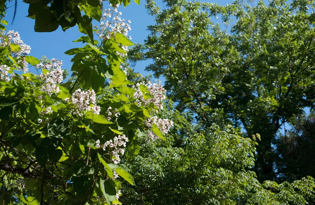 Zeltplatz Camping Almoetia 1