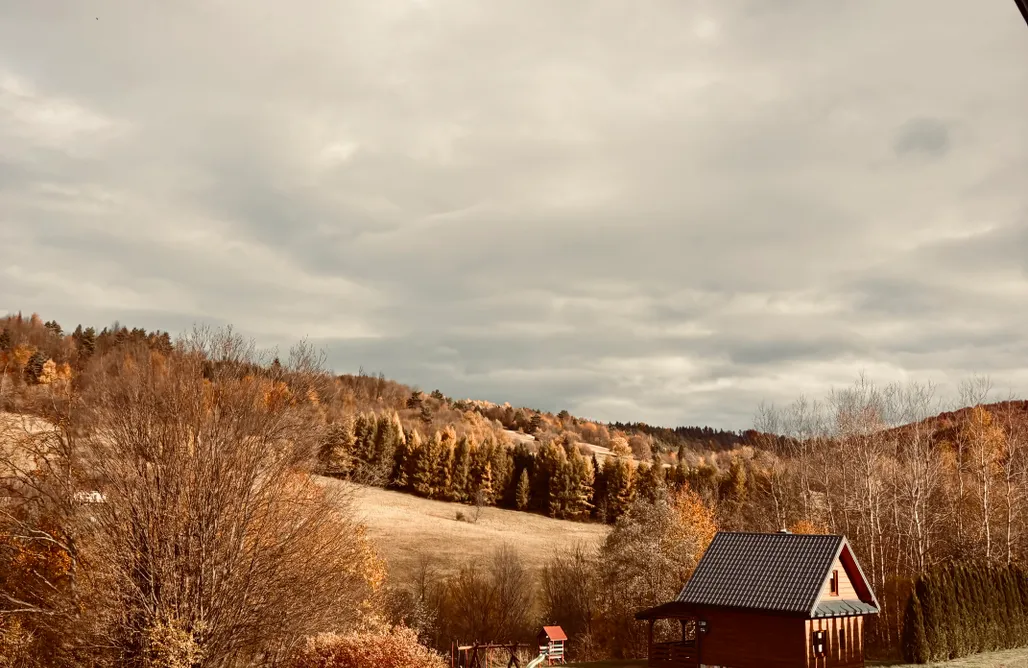 Domki Solina Żubrowe Wzgórze - Domki 6 os. 2