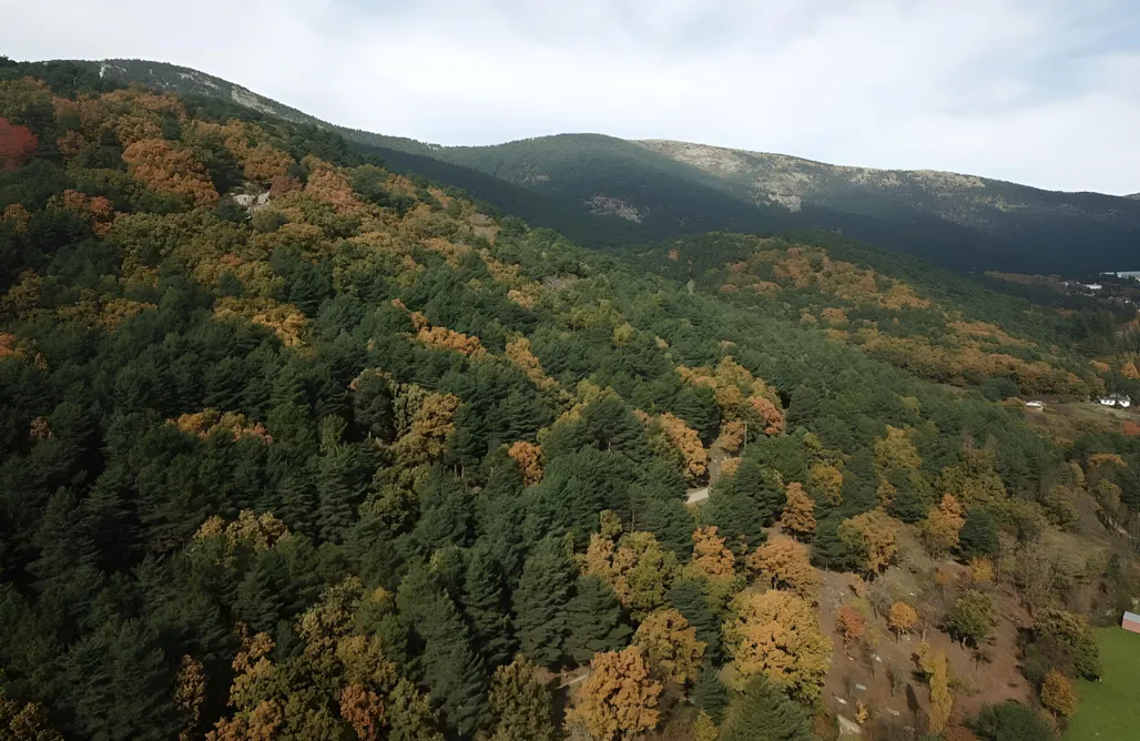 alojamientos AlohaCamp Jaimas La Posada 1