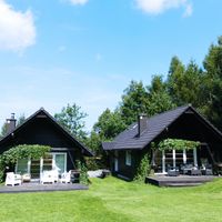 Alex gospodarz Bukolik