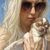 Monika propietario Domek pod lasem