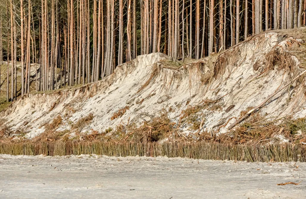 noclegi AlohaCamp Domki z Pasją 1