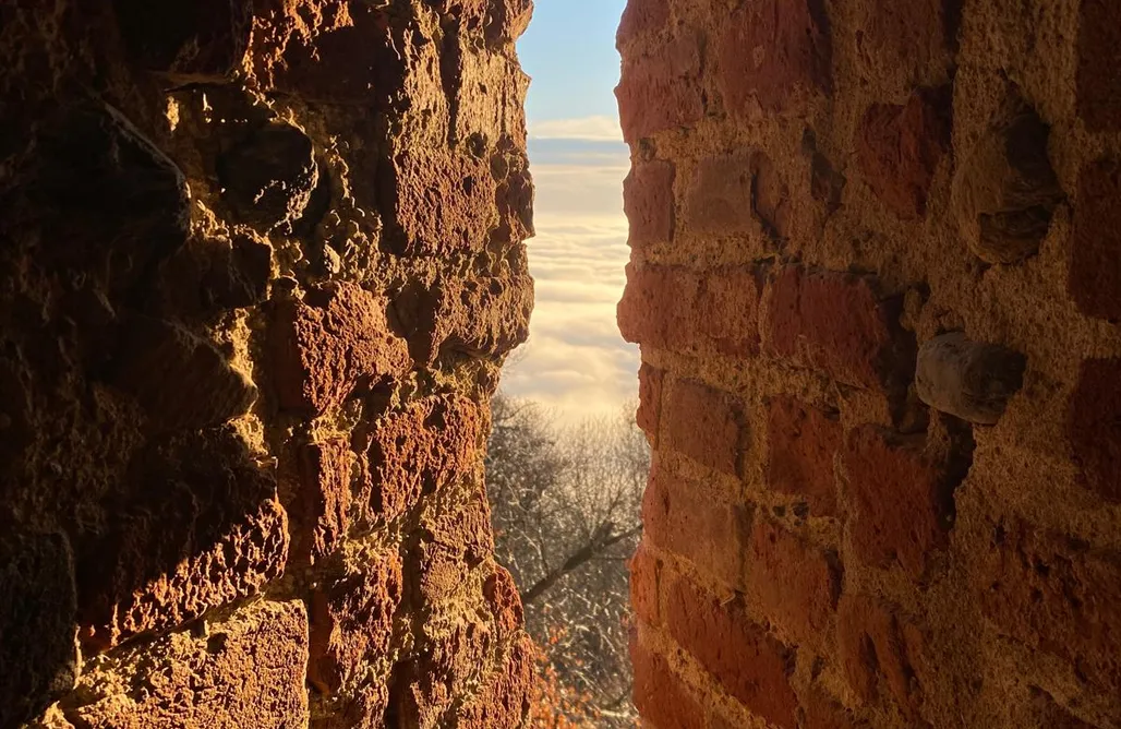 AlohaCamp Torre di Montosolo 1