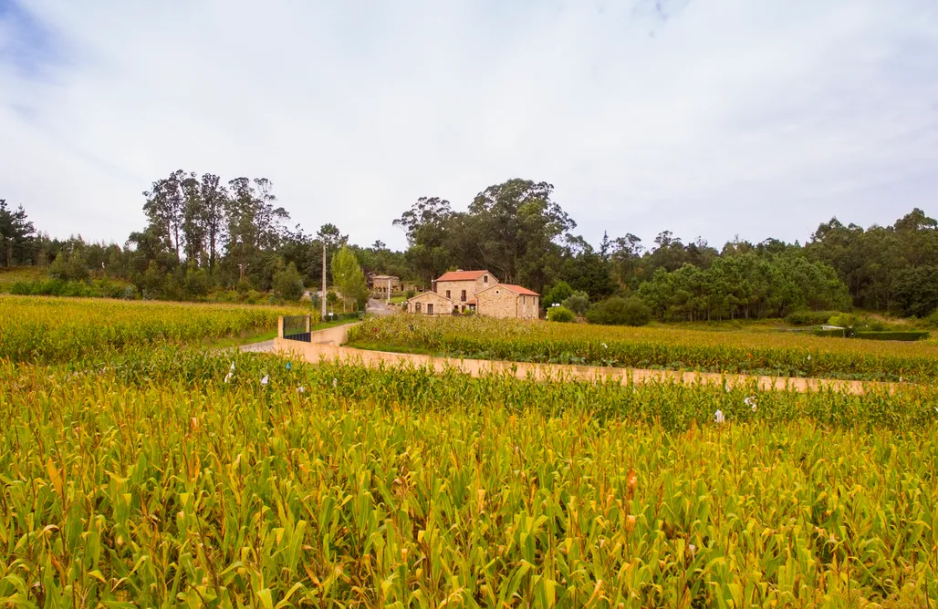 Hotel rústico Lugar do Cotariño AlohaCamp
