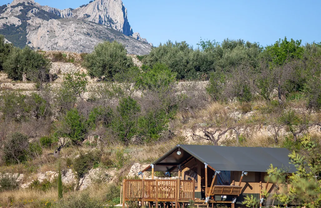 Hotel Burbuja Valencia Glamping Tienda de Safari Alicante 2