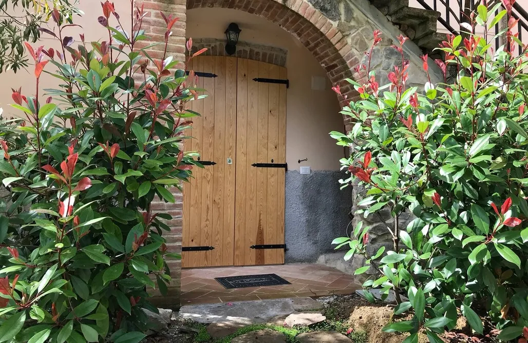 AlohaCamp Tulipano 2