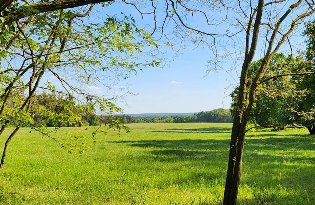 noclegi AlohaCamp Ferienhaus Naturpur Chorin 4