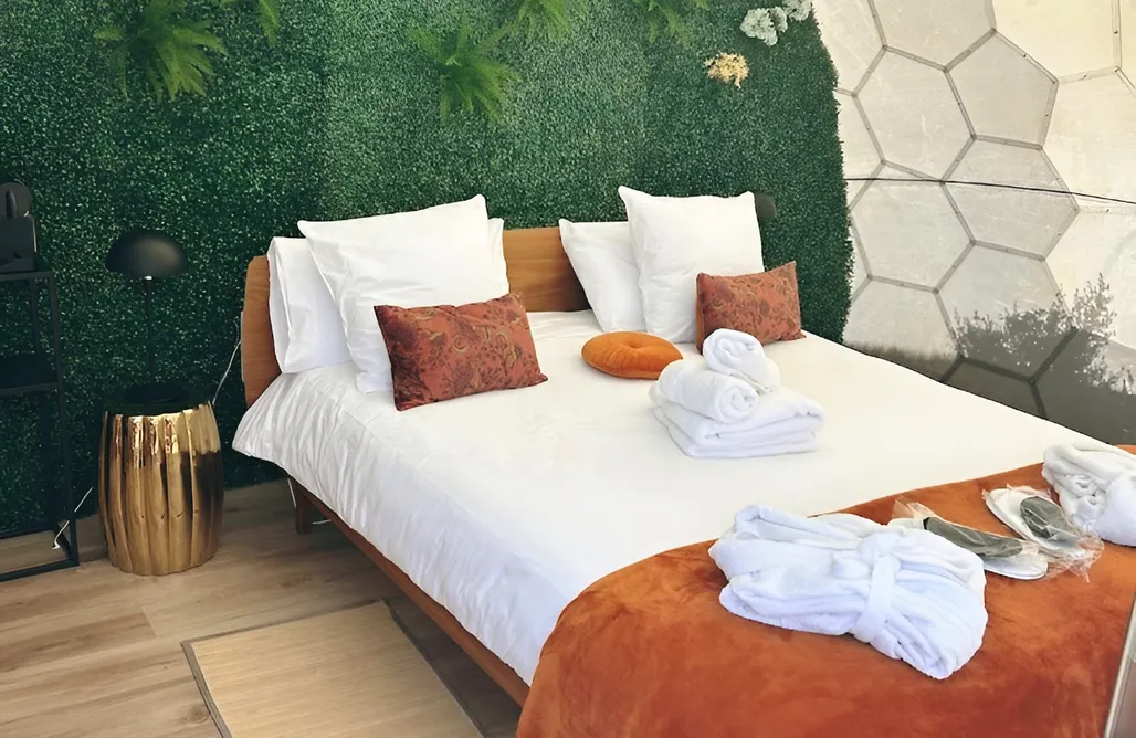 AlohaCamp Burbuja Gran Olivo 2