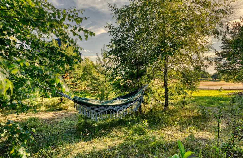 AlohaCamp Bory Za Płotem 1