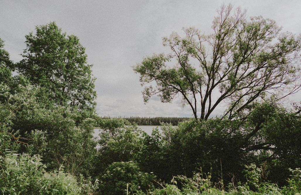 AlohaCamp Dom Południe 1