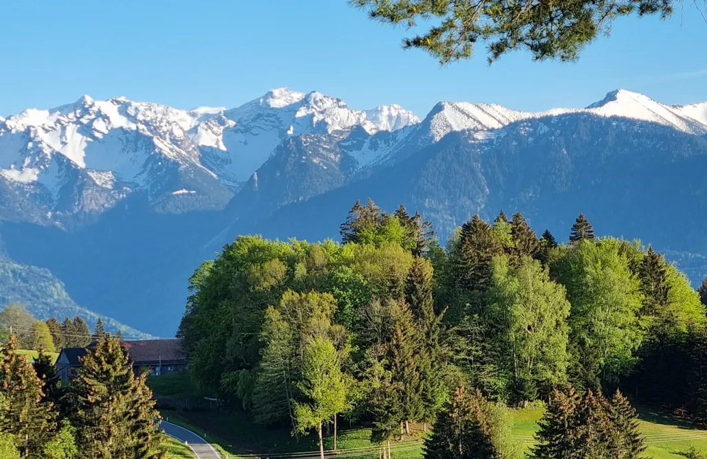 noclegi AlohaCamp Haus Rheintalblick 4