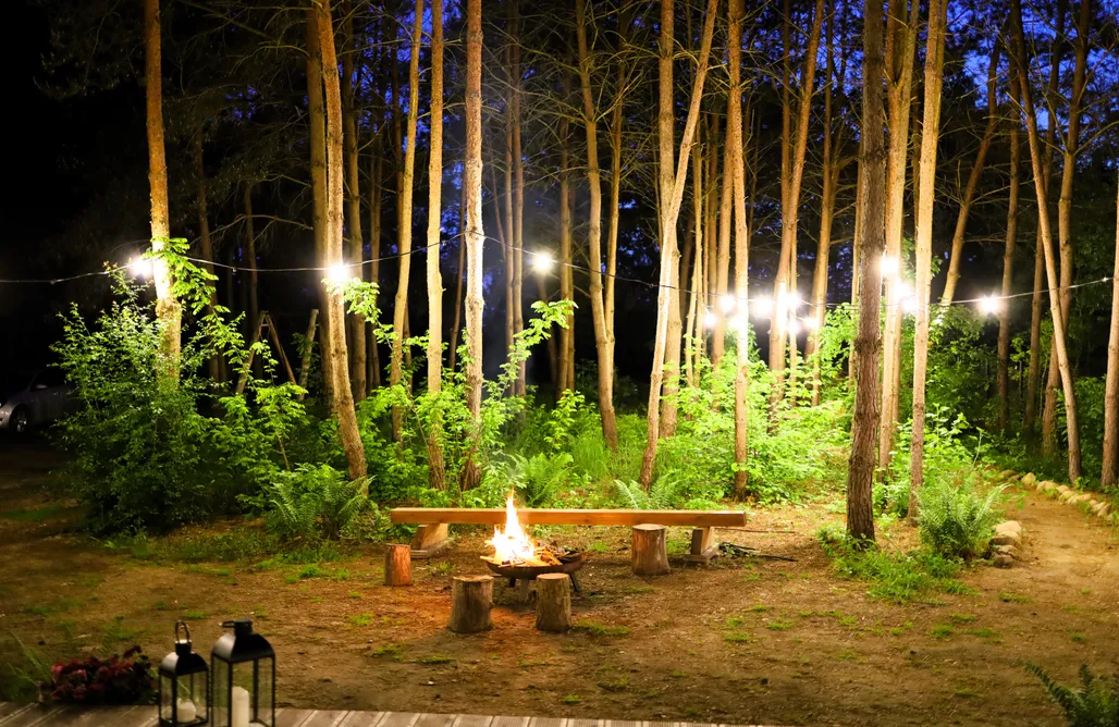 Paprotka - dom i las AlohaCamp