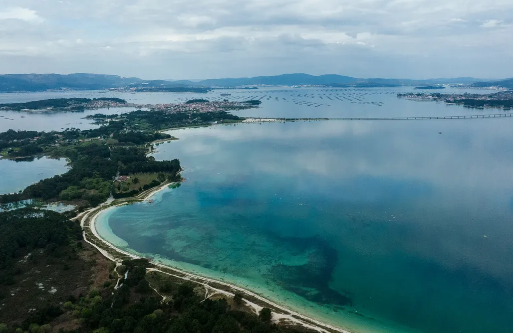 noclegi AlohaCamp Cabañas en el Bosque 1