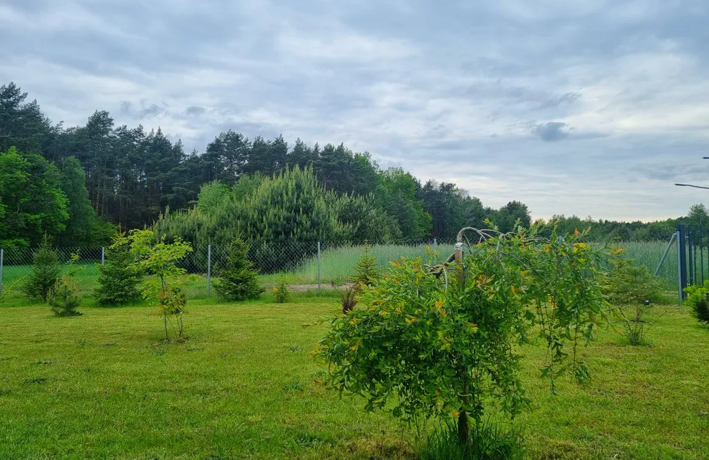 noclegi AlohaCamp Domek pod lasem 4