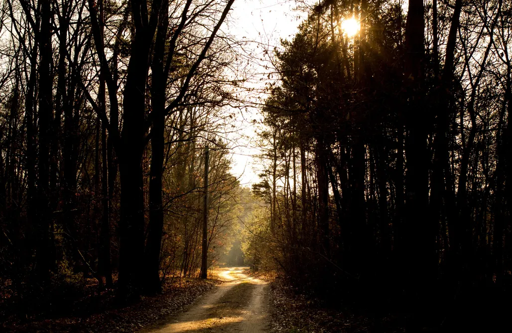 Piskornia noclegi Sankakkei 2 - Lewy Brzeg Narwi 1