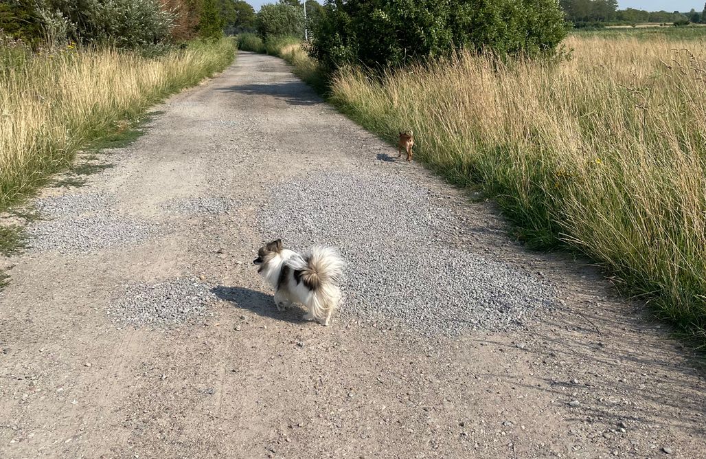 Unterkunft AlohaCamp Osada Rybacka 1