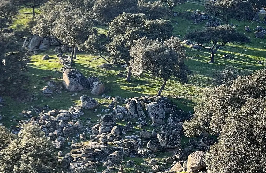 Cabaña Alpina Casa Encaramada: Cal Galeno 1