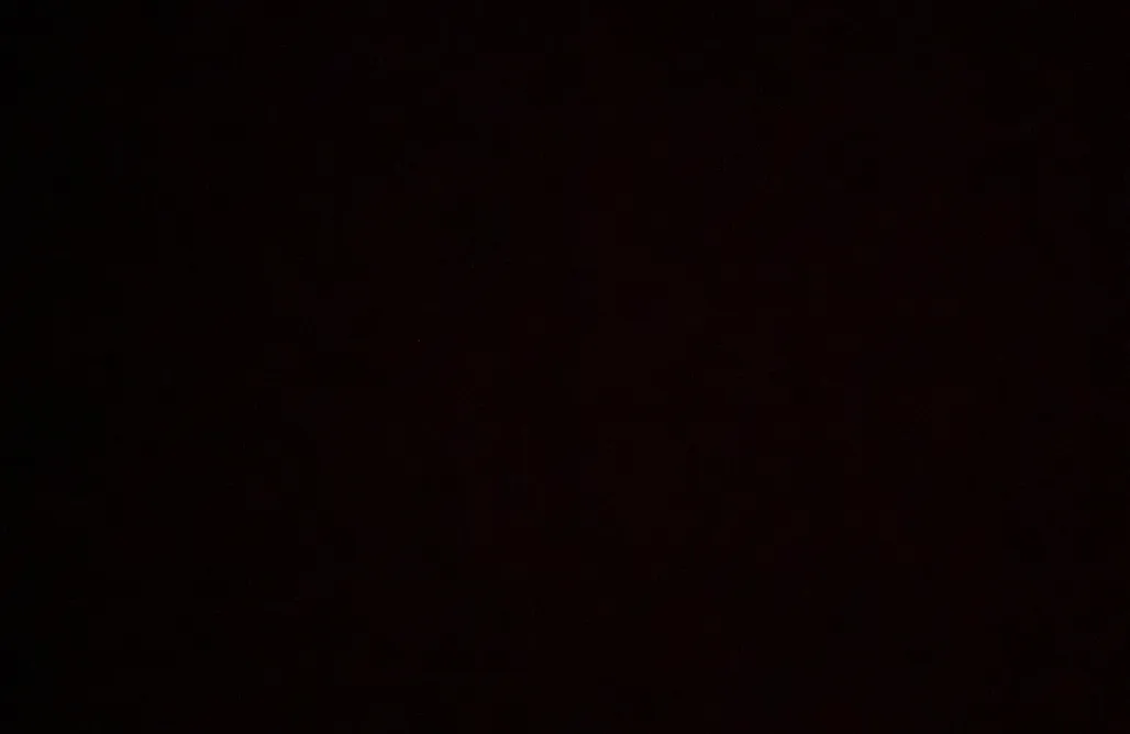 noclegi AlohaCamp Xyz 4