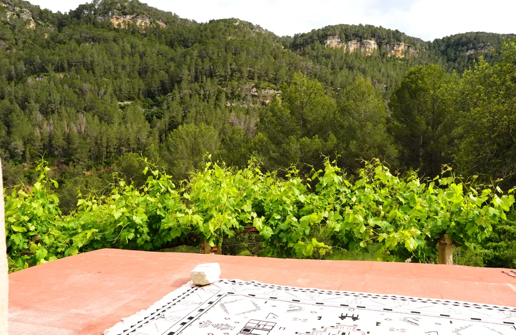 Alloggio AlohaCamp Habitación con terraza y vistas a la montaña salvaje 4