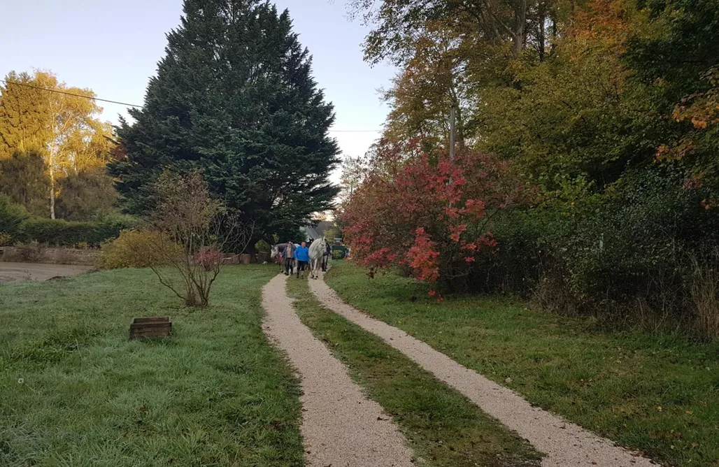Borne noclegi Nid dans la forêt 1
