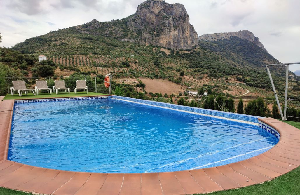 Nueva casa moderna, piscina y caballos